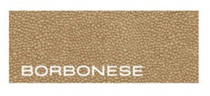 loghi 0002 Livello 25